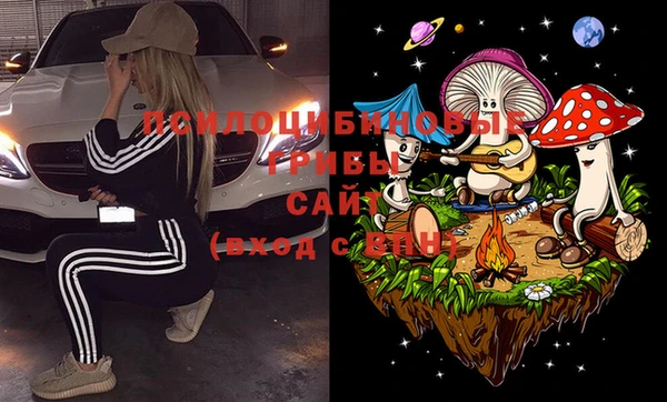дурь Лагань