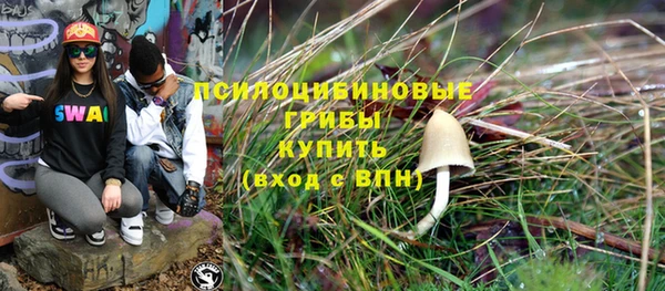 дурь Лагань