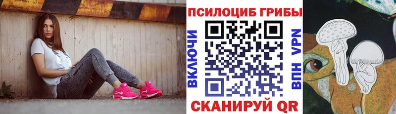 Псилоцибиновые грибы Cubensis  где найти наркотики  Тольятти 